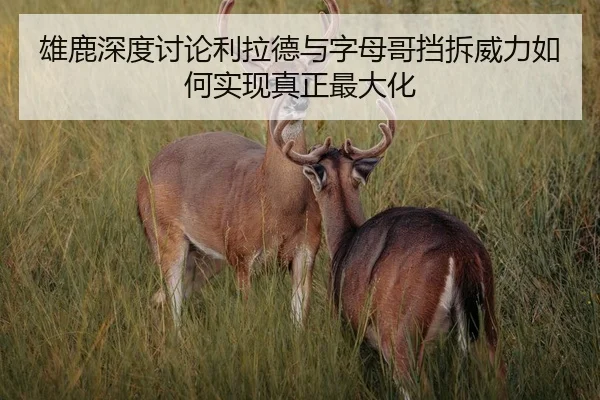 雄鹿深度讨论利拉德与字母哥挡拆威力如何实现真正最大化 | kaiyun
