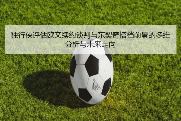 独行侠评估欧文续约谈判与东契奇搭档前景的多维分析与未来走向 - kaiyun