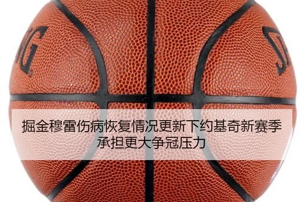 掘金穆雷伤病恢复情况更新下约基奇新赛季承担更大争冠压力 | kaiyun